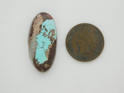 BISBEE TURQUOISE in center of host rock 19 carats