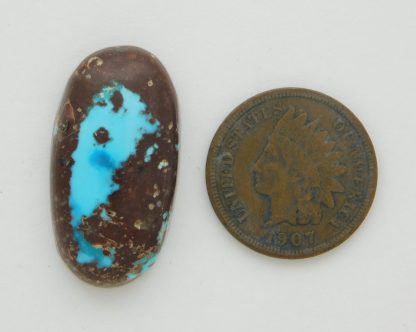 BLUE BISBEE TURQUOISE with Blue & Dark Blue Dots in dark brown host 20.5 carats