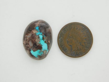 BLUE BISBEE TURQUOISE Hook Shape in Beautiful Mottled Jasper 16 carats